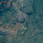 『ELDEN RING』最序盤からルーン稼ぎに使える4つの場所！王への道は一日にしてならず