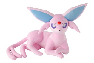 意外と大きい！『ポケモン』エーフィ、ブラッキーの等身大ぬいぐるみが予約受付中―ぐるっと見られるサンプル画像も 画像