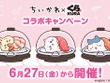 「くら寿司」×「ちいかわ」コラボ開催！寿司になったハチワレたちデザインのグッズ、ストーリーにちなんだメニューを展開 画像